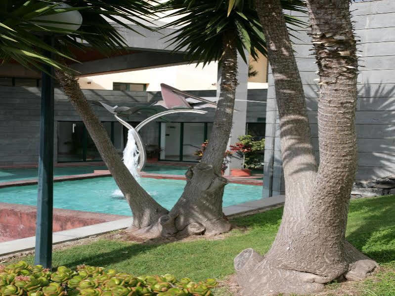Hotel Escola Funchal Dış mekan fotoğraf